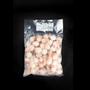 Ostión con Coral Peruano