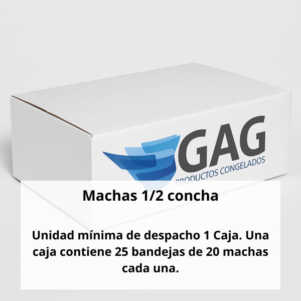 Machas 1/2 concha - Imagen 2