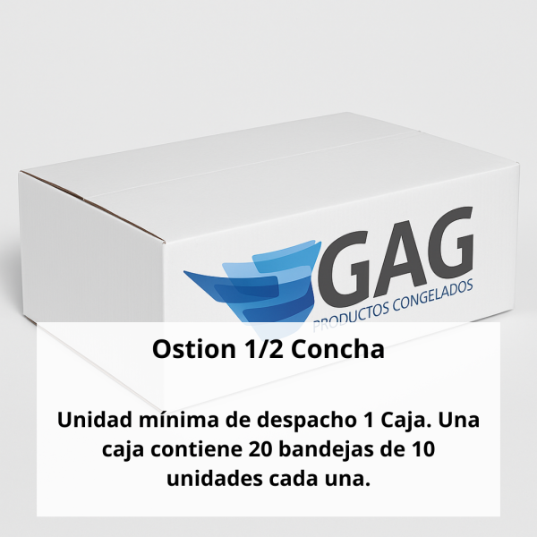Ostion 1/2 Concha - Imagen 2